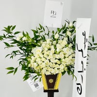 12077 - صورة 4
