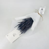 8421 - صورة 3