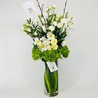 14185 - Image 1