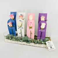 13946 - صورة 3