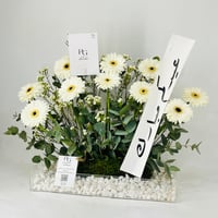 12116 - Image 3