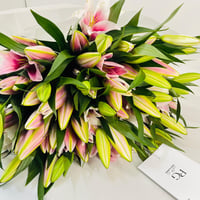 13568-814 - صورة 4