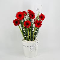 8200-411 - صورة 1
