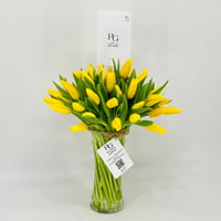 11375-687 - صورة 2