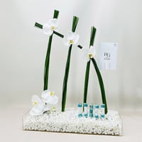 7571 - Image 3