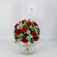 5729-520 - صورة 1