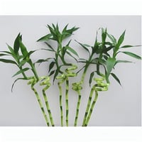 8141 - Image 1