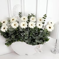 16485 - صورة 2