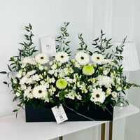 12137 - صورة 1