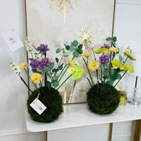 16123 - Image 2