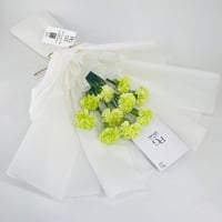 10961 - صورة 2