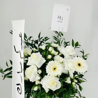 12117 - صورة 3