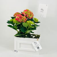 12441-714 - صورة 4