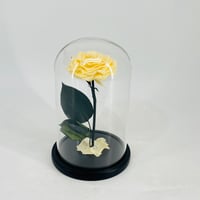 11242 - Image 1