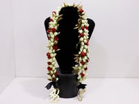 3243-12 - Image 1