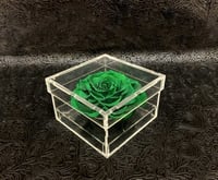 2214 - صورة 1
