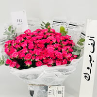 13578 - صورة 5