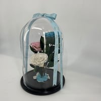 2105 - Image 3