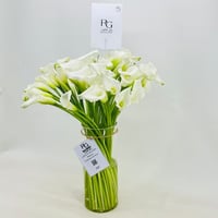 2607-836 - صورة 2
