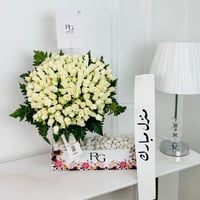 13443 - صورة 1