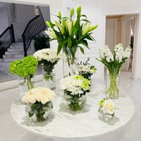 17253 - صورة 1