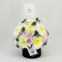11083-487 - صورة 1