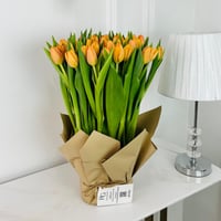 9047-663 - صورة 1