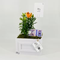 12832 - Image 2