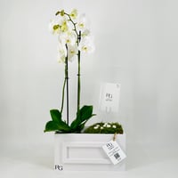 12361-815 - Image 1