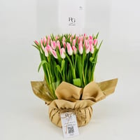3919-102 - صورة 3