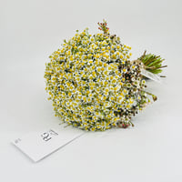 2665-109 - صورة 1