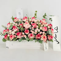 13933 - صورة 1
