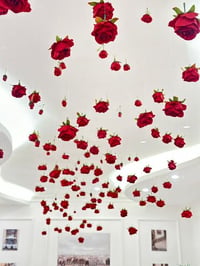 11147-404 - صورة 2