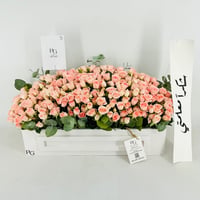 13924 - Image 1