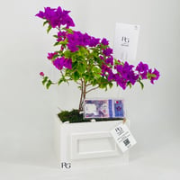 12454 - Image 3