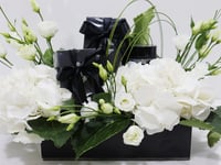 3324-01 - صورة 3