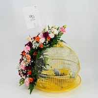 3033-520 - صورة 2