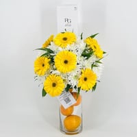 9617-426 - صورة 2