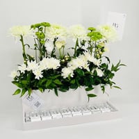 9802-592 - صورة 2
