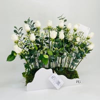  11081-710 - صورة 2