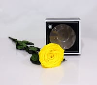 4796-107 - صورة 1