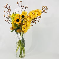 14456 - صورة 2