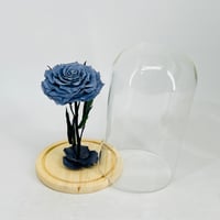 11237 - Image 2