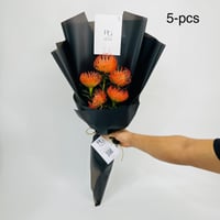 10637 - Image 1