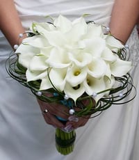 4822-15 - Image 1