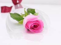 069 - Image 4