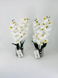14222 - Image 1