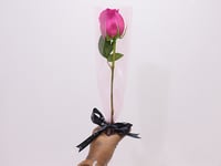041 - صورة 1