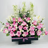 8592 - Image 2