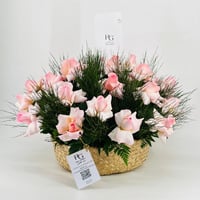 8183-481 - صورة 3